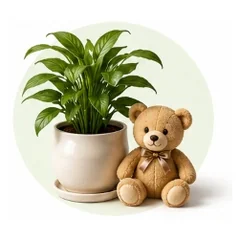Plants